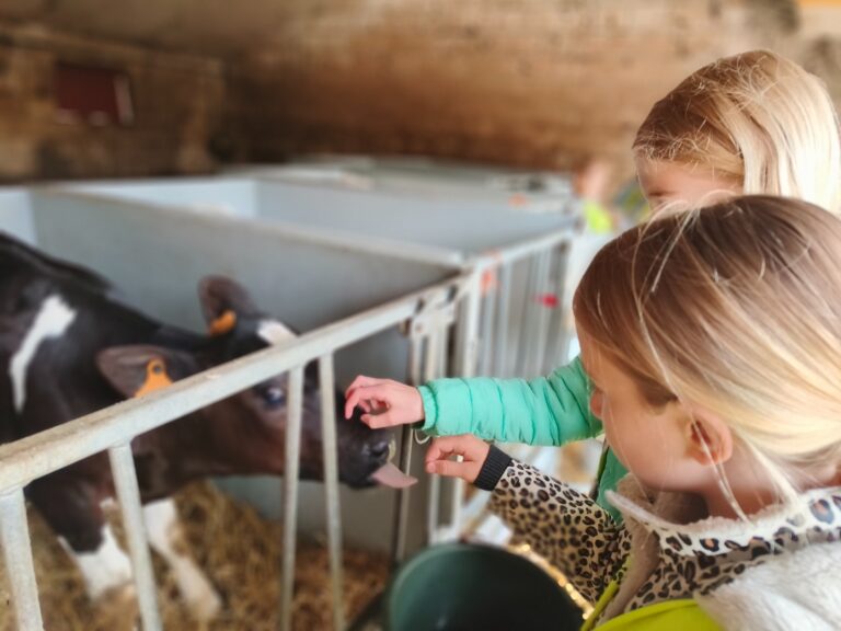 Uitstap naar de boerderij