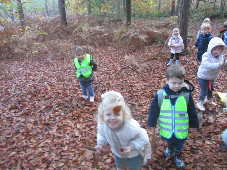 Naar het bos.