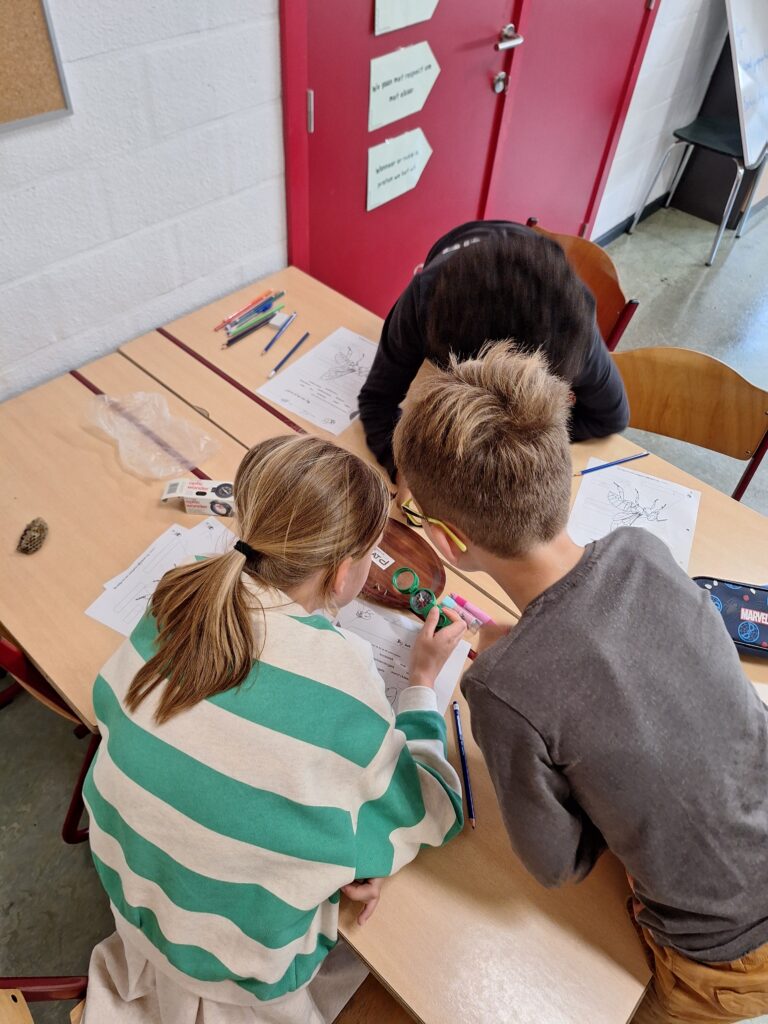 Hoekenwerk bijen