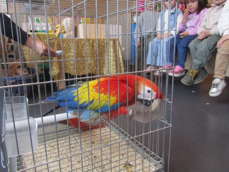 Geluksvogels!