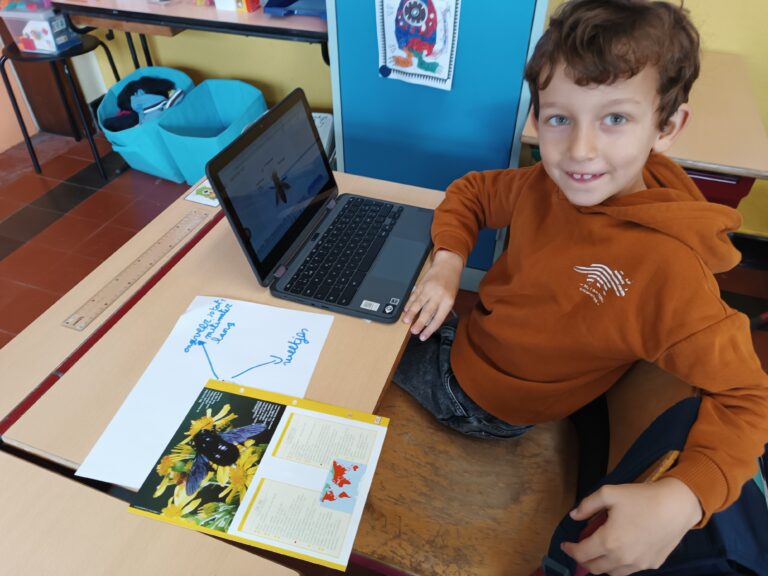 De eerste spreekbeurt voorbereiden…