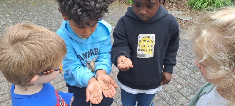 Thema kriebeldieren.